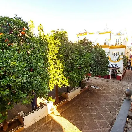 Appartement Plaza De Dona Elvira 8 *