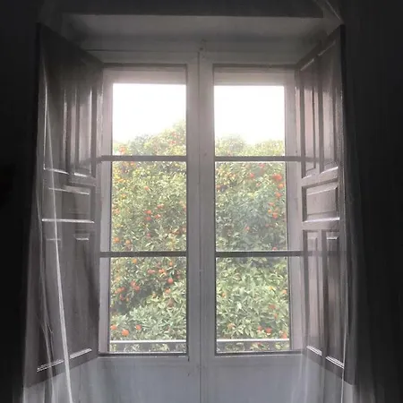 Appartement Plaza De Dona Elvira 8 *
